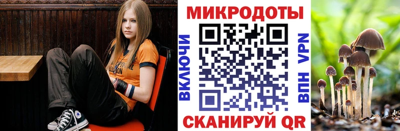 Купить где  Беломорск  Псилоцибиновые грибы Psilocybe 