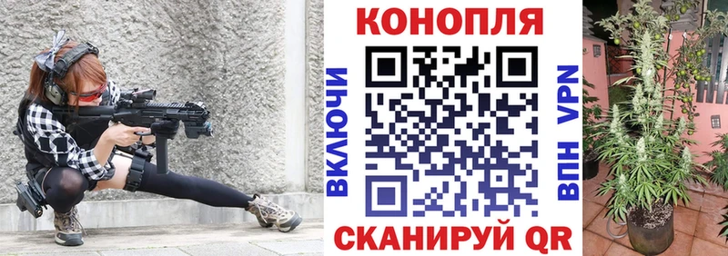 Купить где  Беломорск  МАРИХУАНА ГИДРОПОН 